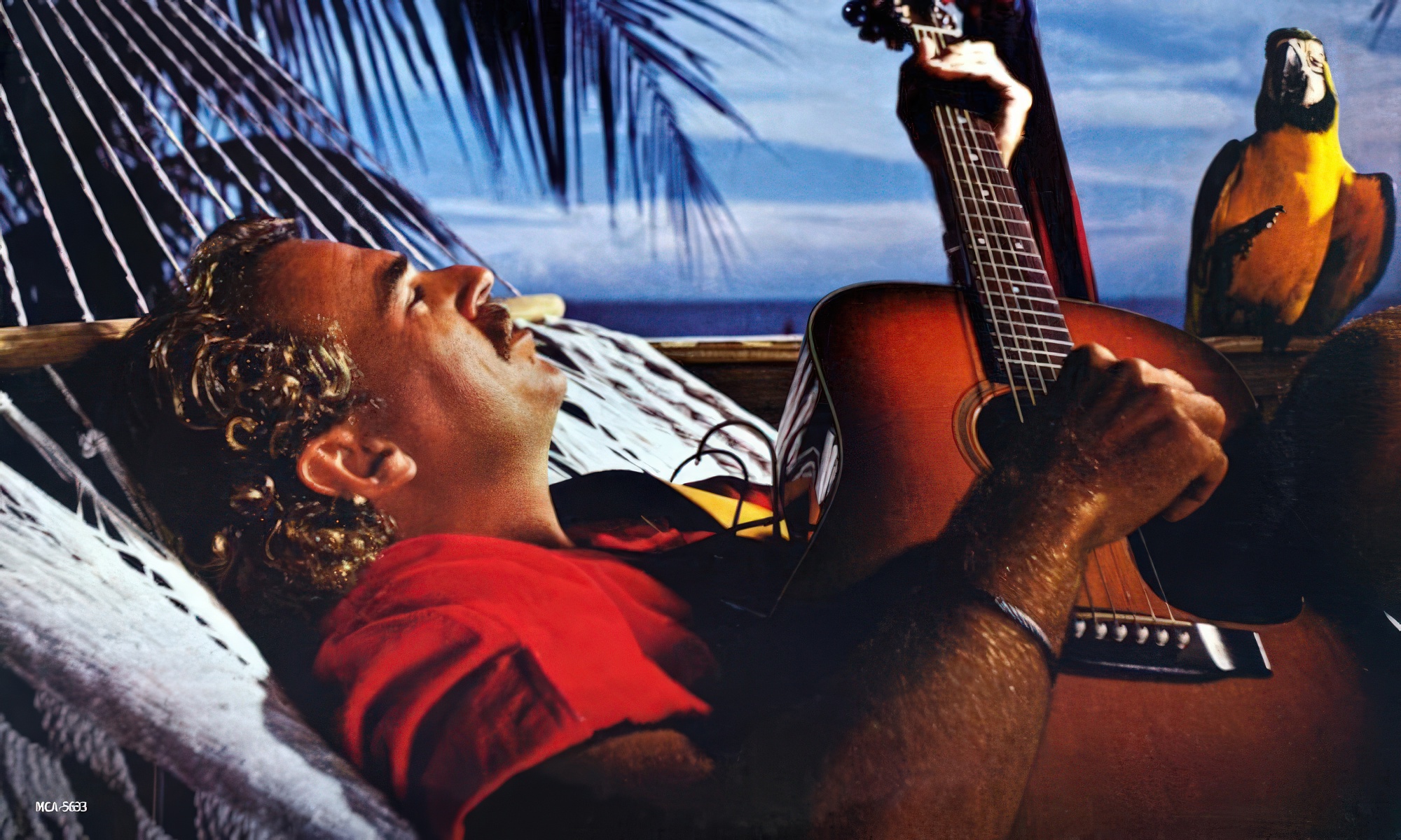 I’ve been thinking about Jimmy Buffett